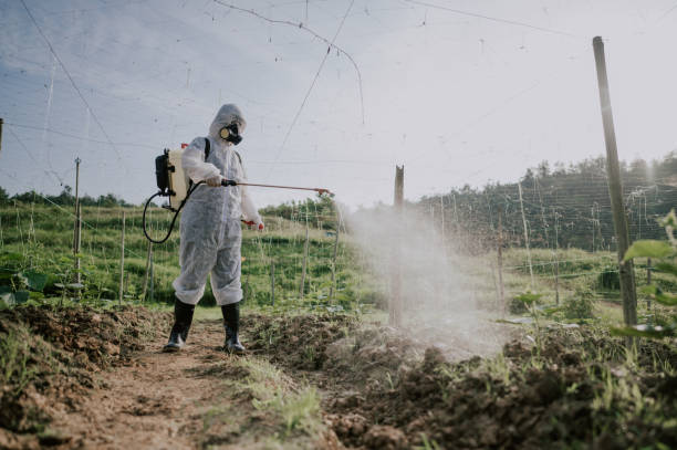 Best Best Pest Control Companies  in Ozark, AL