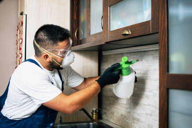 Best Flea Control Services  in Ozark, AL