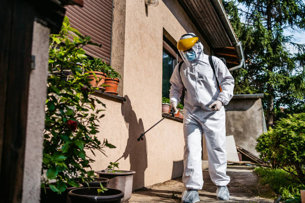 Best Insect Control  in Ozark, AL