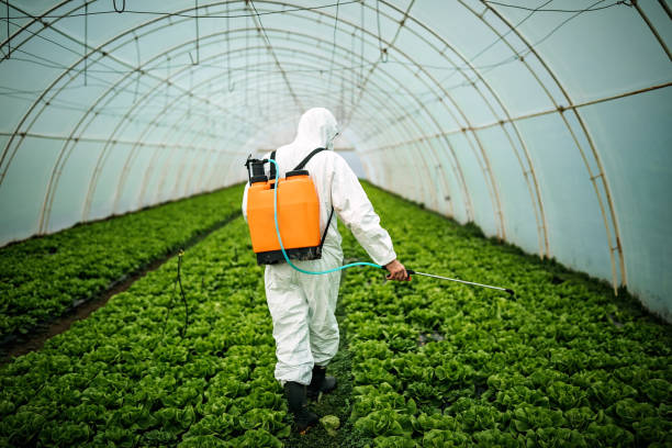 Best Pest Removal Services  in Ozark, AL