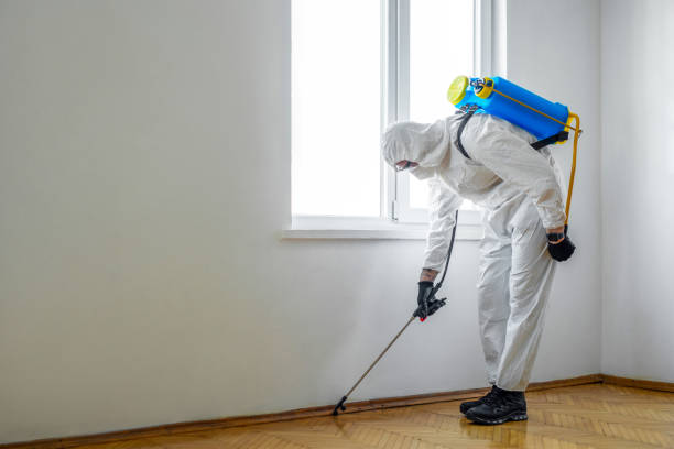 Best Residential Pest Control  in Ozark, AL