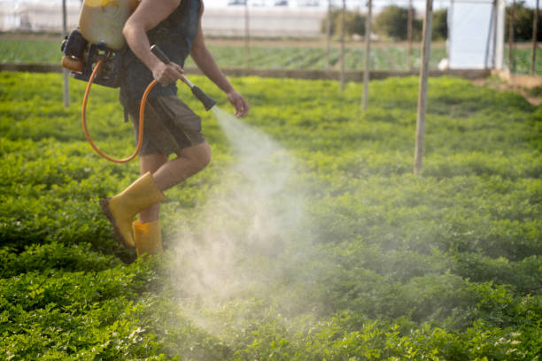Best Pest Prevention Services  in Ozark, AL
