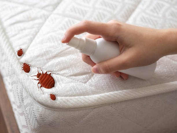 Best Affordable Pest Control Services  in Ozark, AL