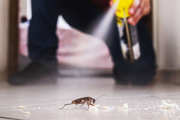 Best Affordable Pest Control Services  in Ozark, AL