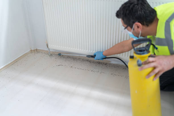 Best Pest Inspection Near Me  in Ozark, AL