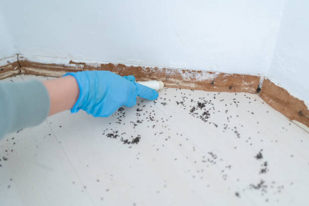 Best Wildlife Control Services  in Ozark, AL